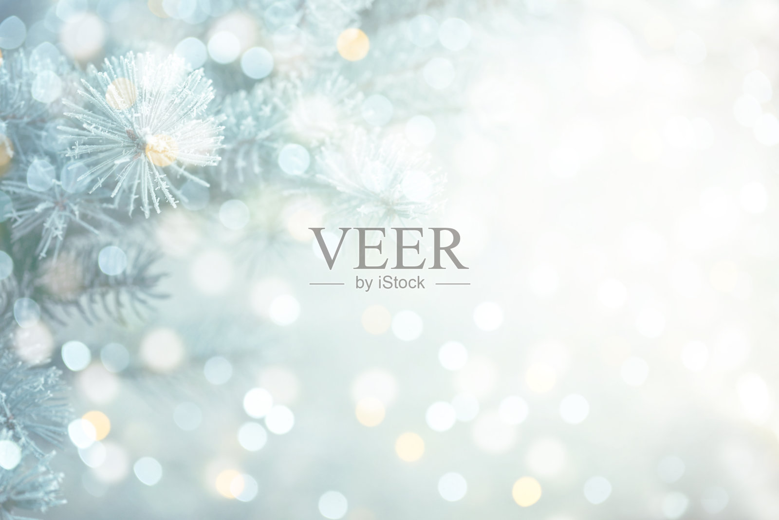 圣诞树上结了霜照片摄影图片