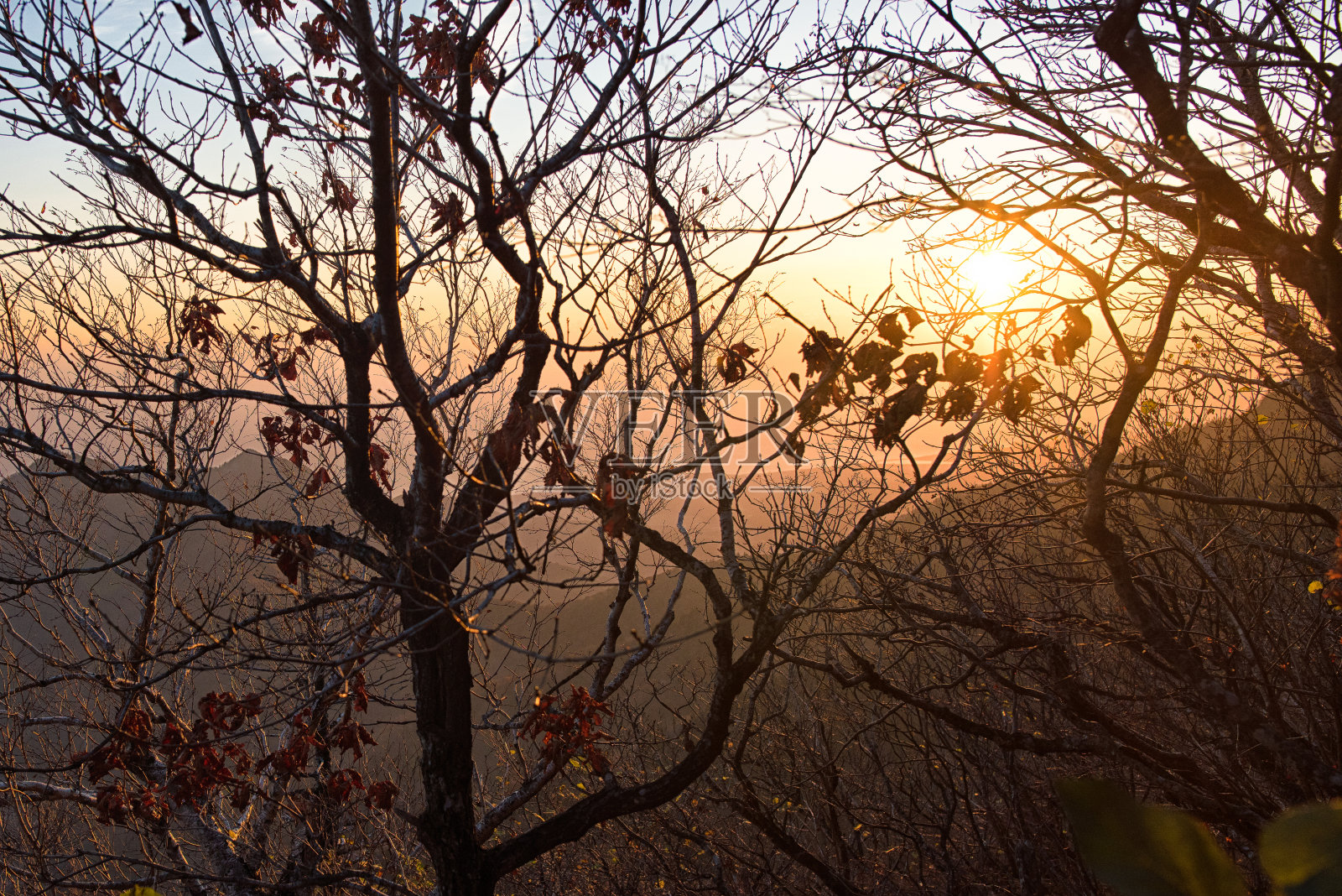 山上的秋日黎明照片摄影图片