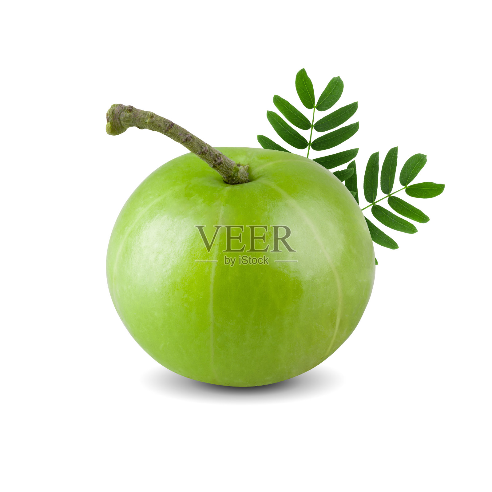 孤立在白色背景上的印度醋栗照片摄影图片