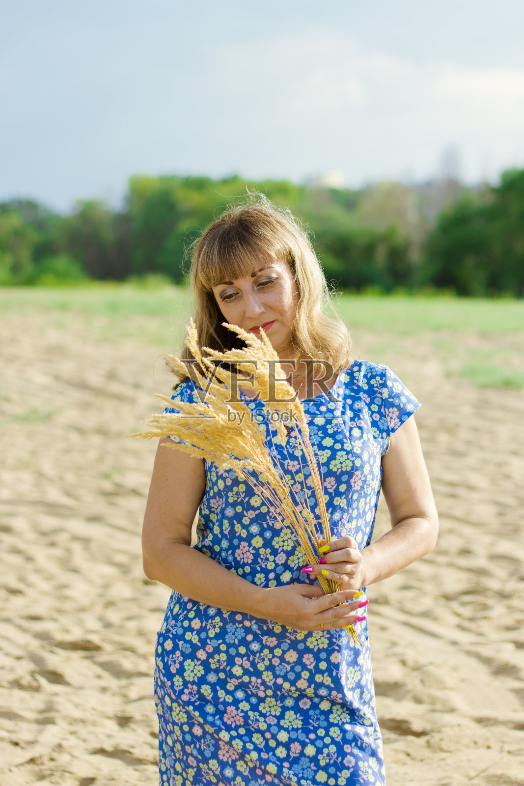 一位身穿蓝色连衣裙的金发女郎手里拿着一根蓬松的芦苇。照片摄影图片