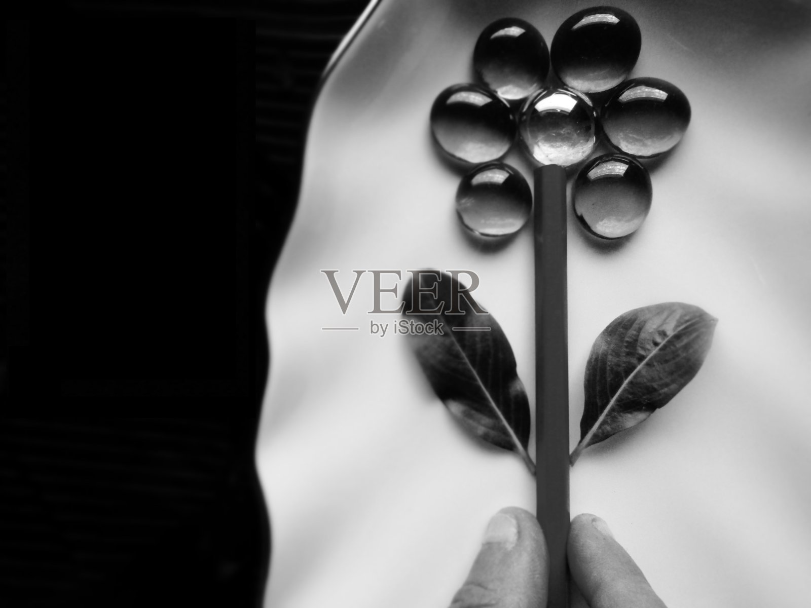 生命至上照片摄影图片