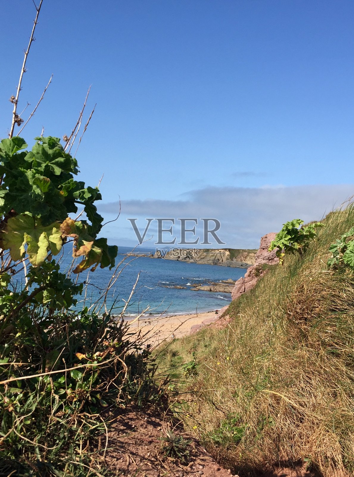 弥尔顿南部,德文郡照片摄影图片