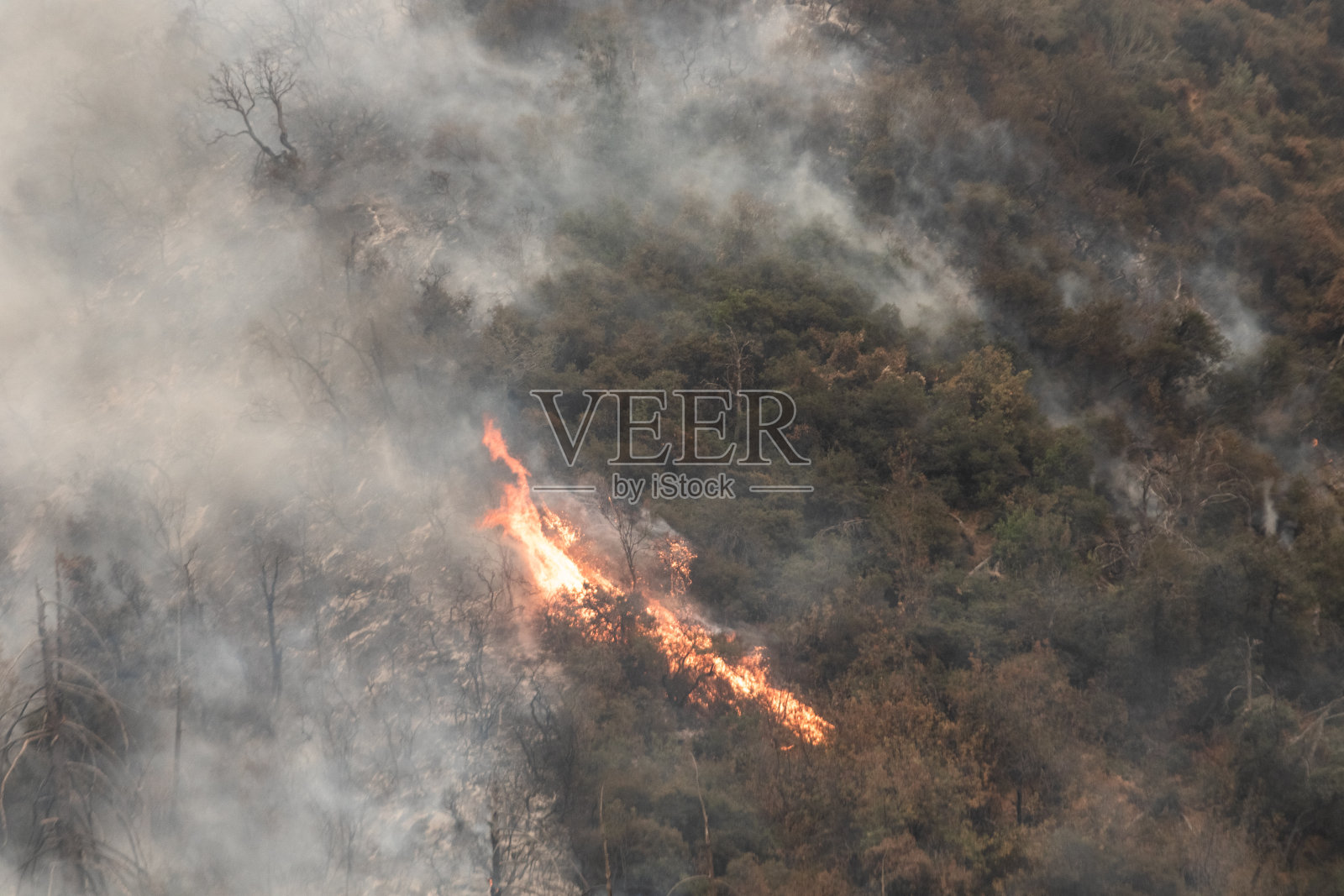 加州尤卡帕山火最严重的年份之一照片摄影图片