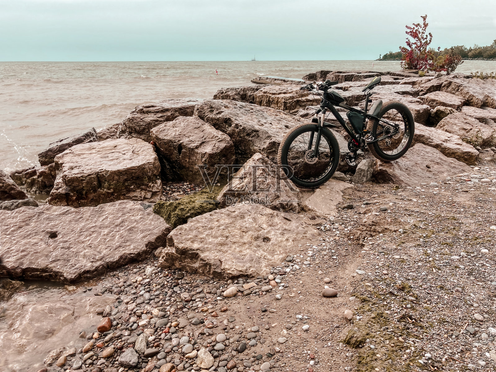 在湖滨的胖自行车照片摄影图片