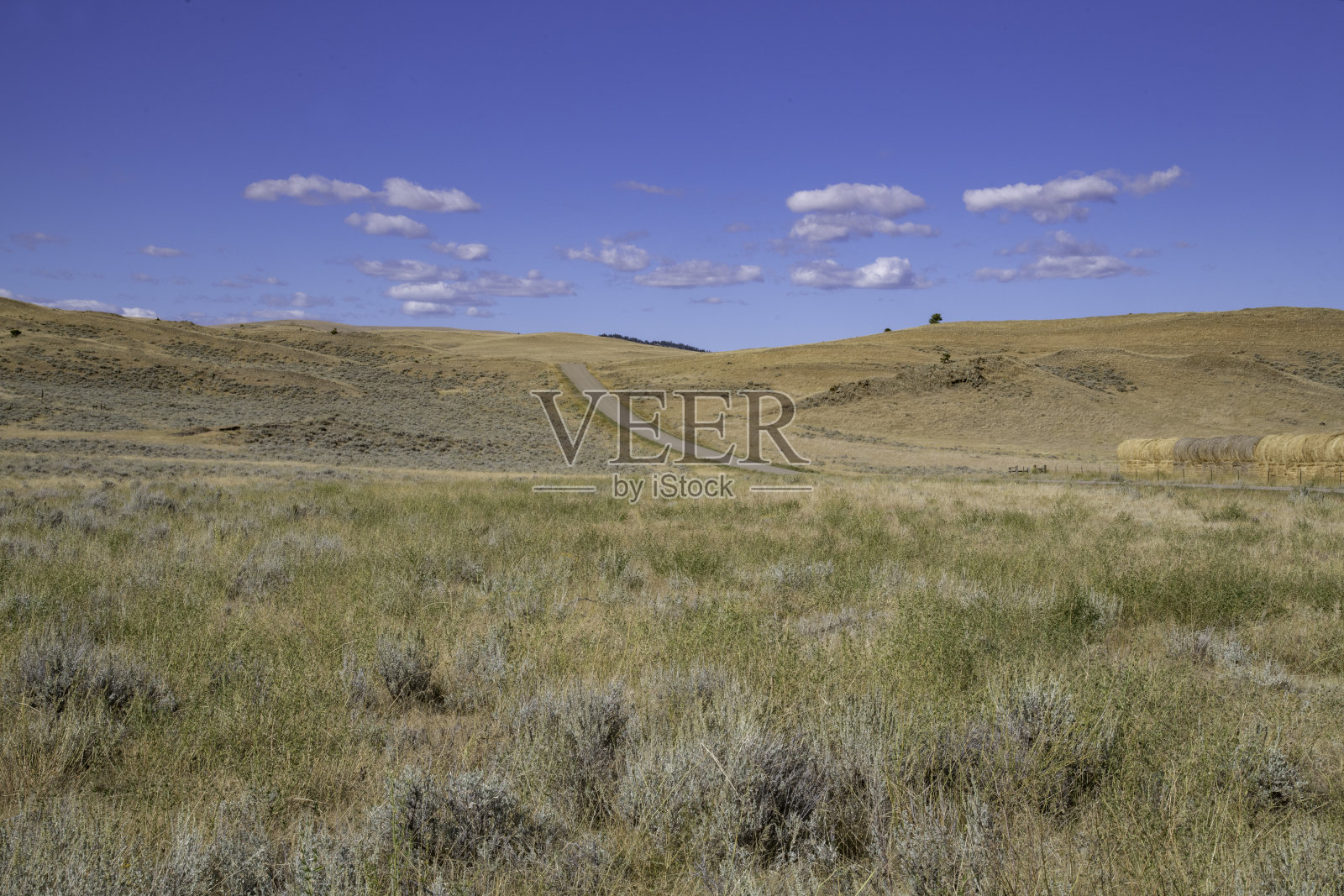 蒙大拿州的农场和干燥的小麦国家的孤独的土路照片摄影图片