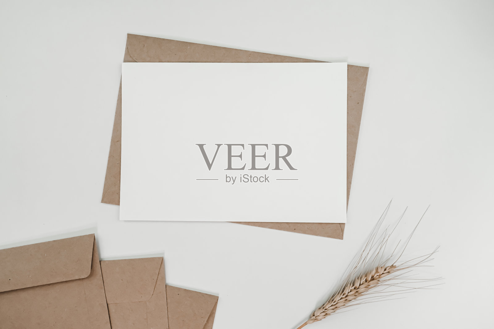 空白白纸在棕色纸信封与大麦干花在白布。模拟水平空白贺卡。顶视图的工艺信封上的白色背景。平把极简主义照片摄影图片