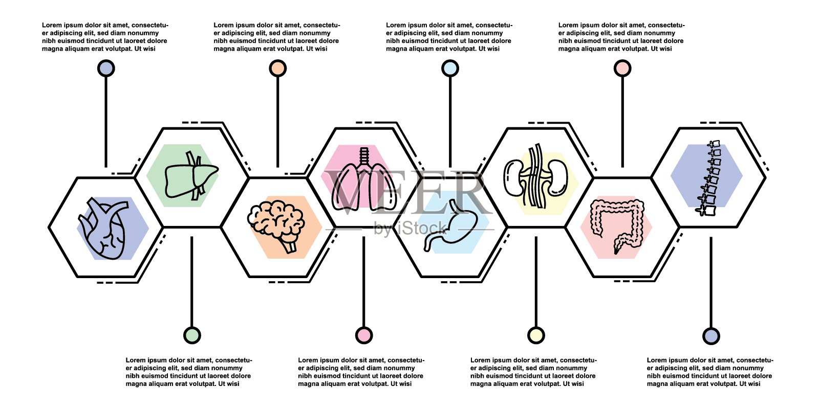 人体内部器官的矢量图标设置在平面风格插画图片素材