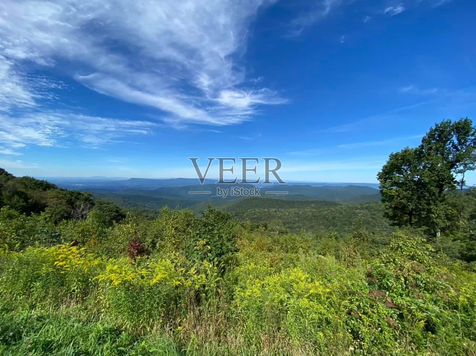 和平照片摄影图片