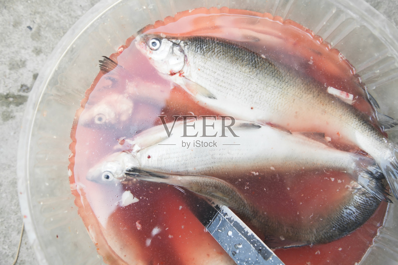 菜刀和鱼入水。照片摄影图片