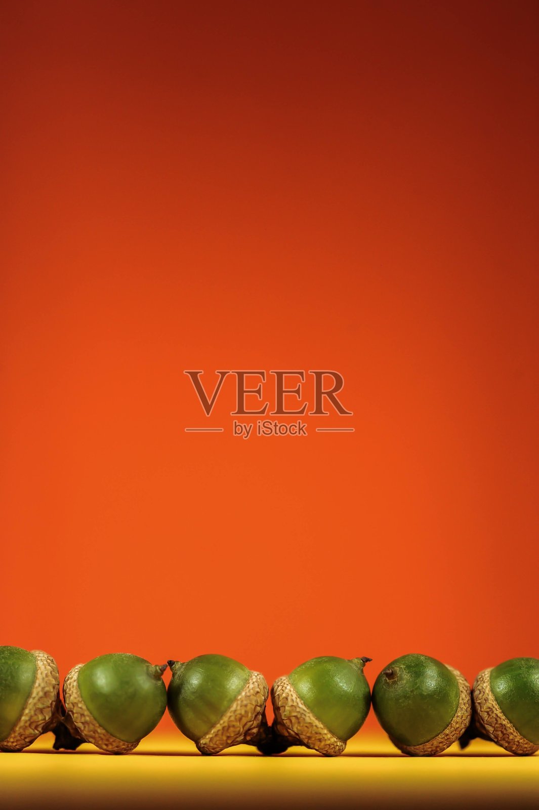 橡子背景照片摄影图片