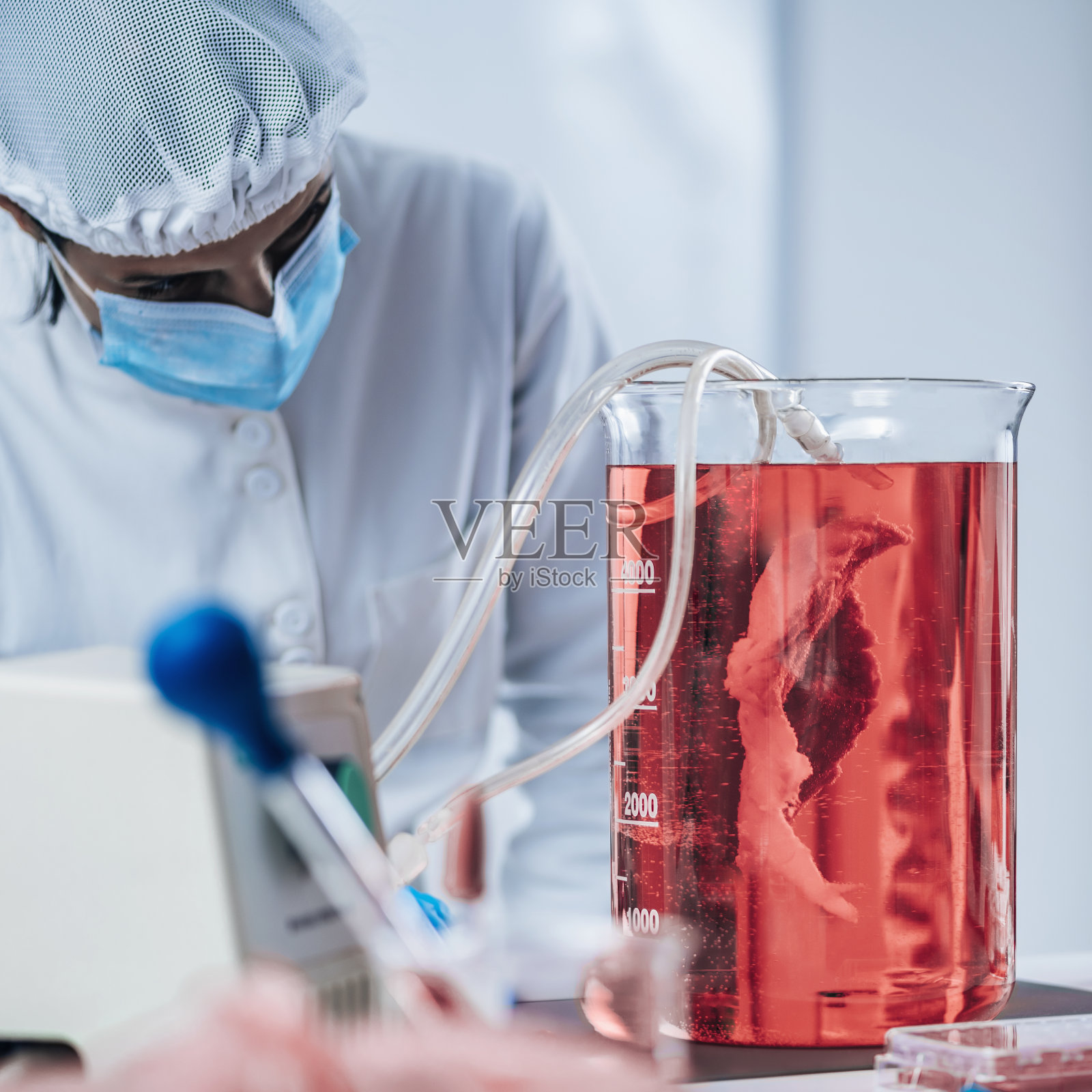 实验室合成肉的生物技术过程照片摄影图片