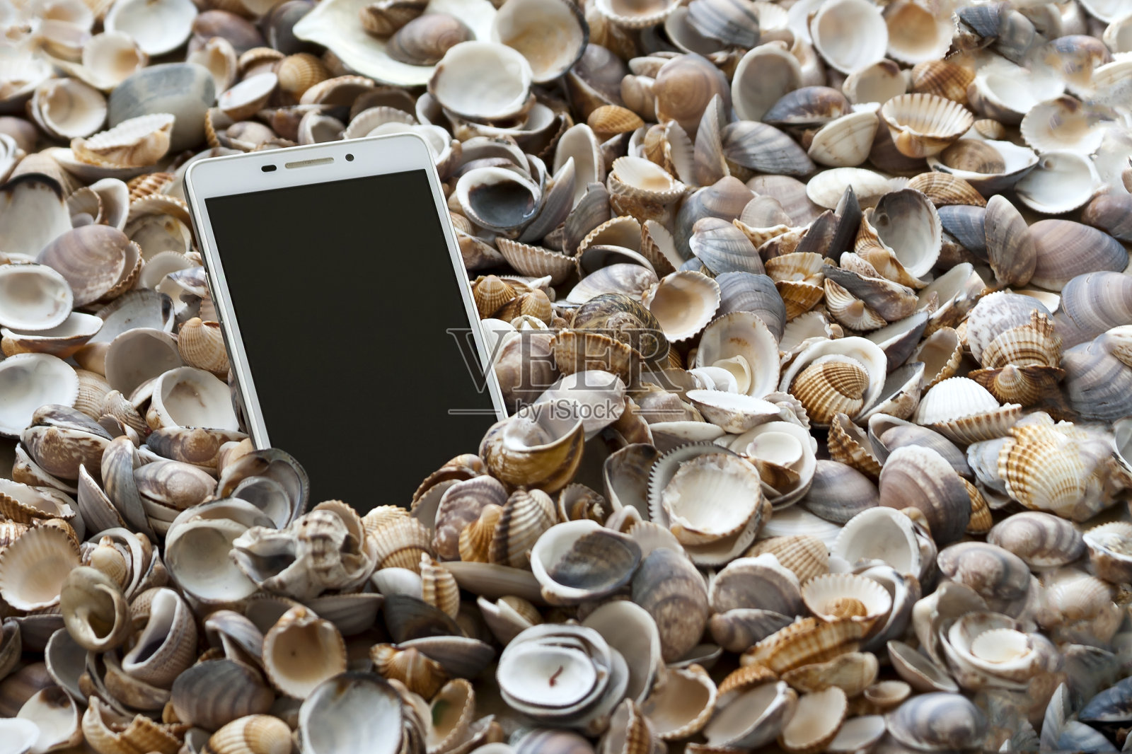 贝壳中的智能手机照片摄影图片