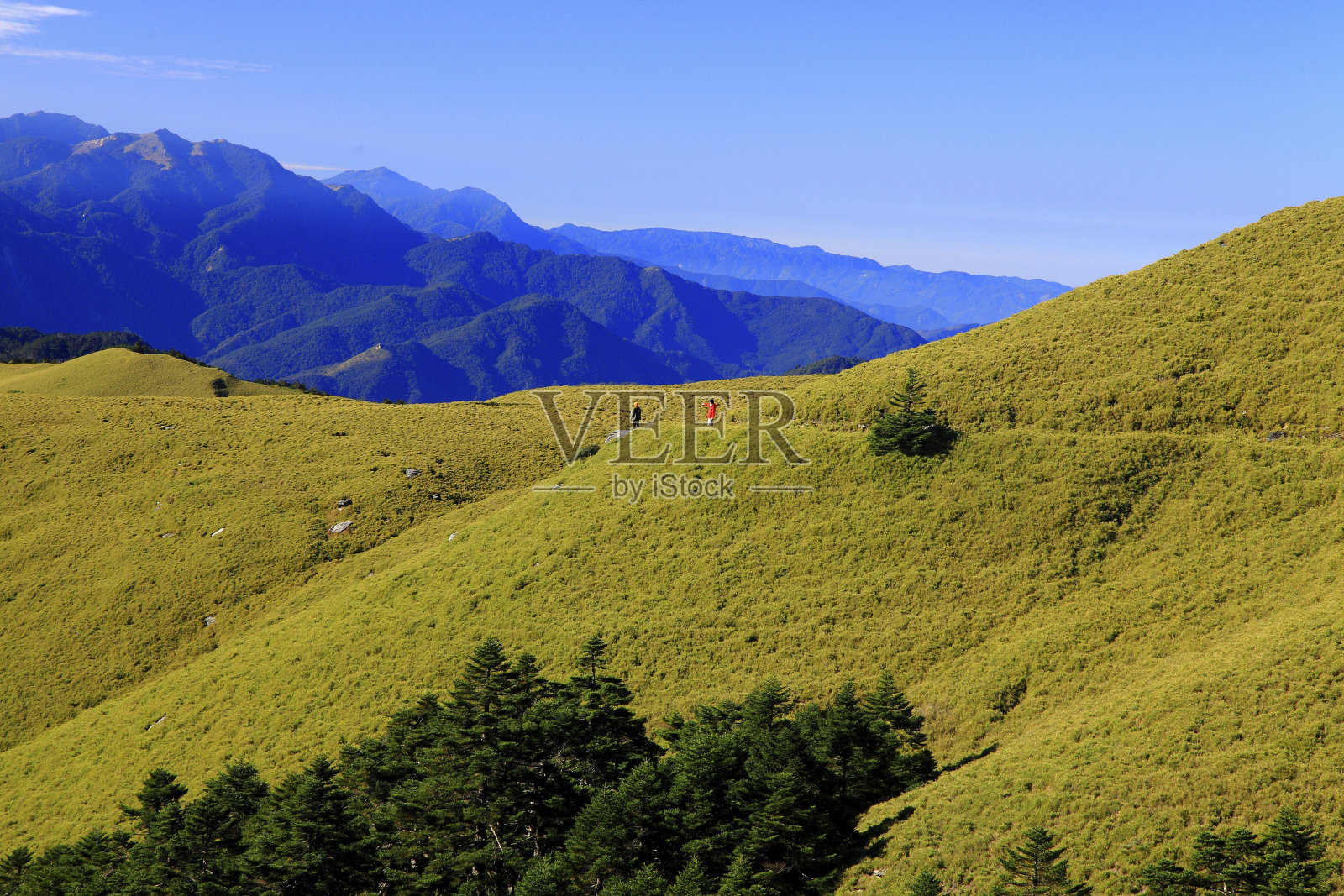 台湾祁来岭草原步道照片摄影图片