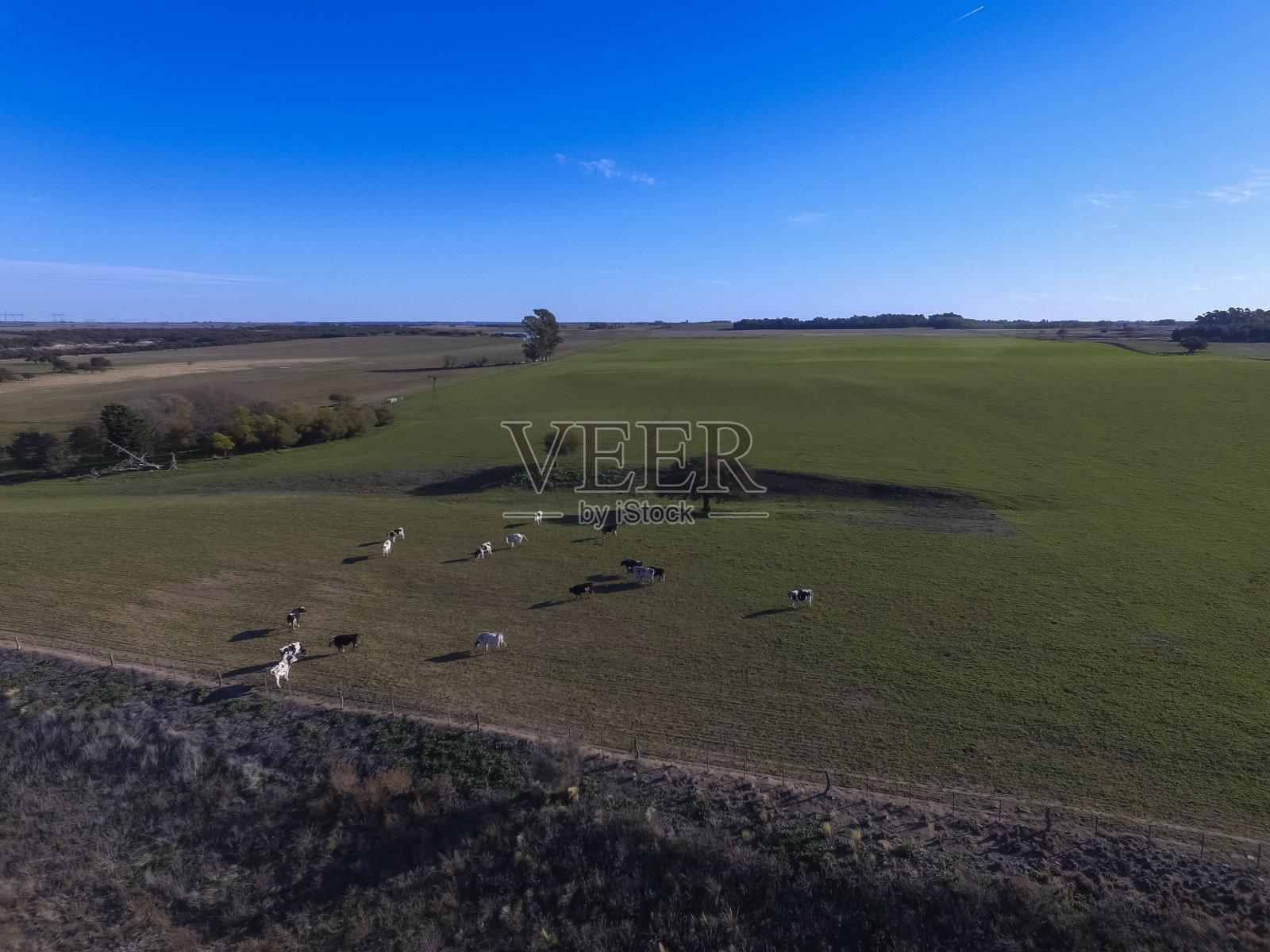 潘帕斯草原景观日落照片摄影图片