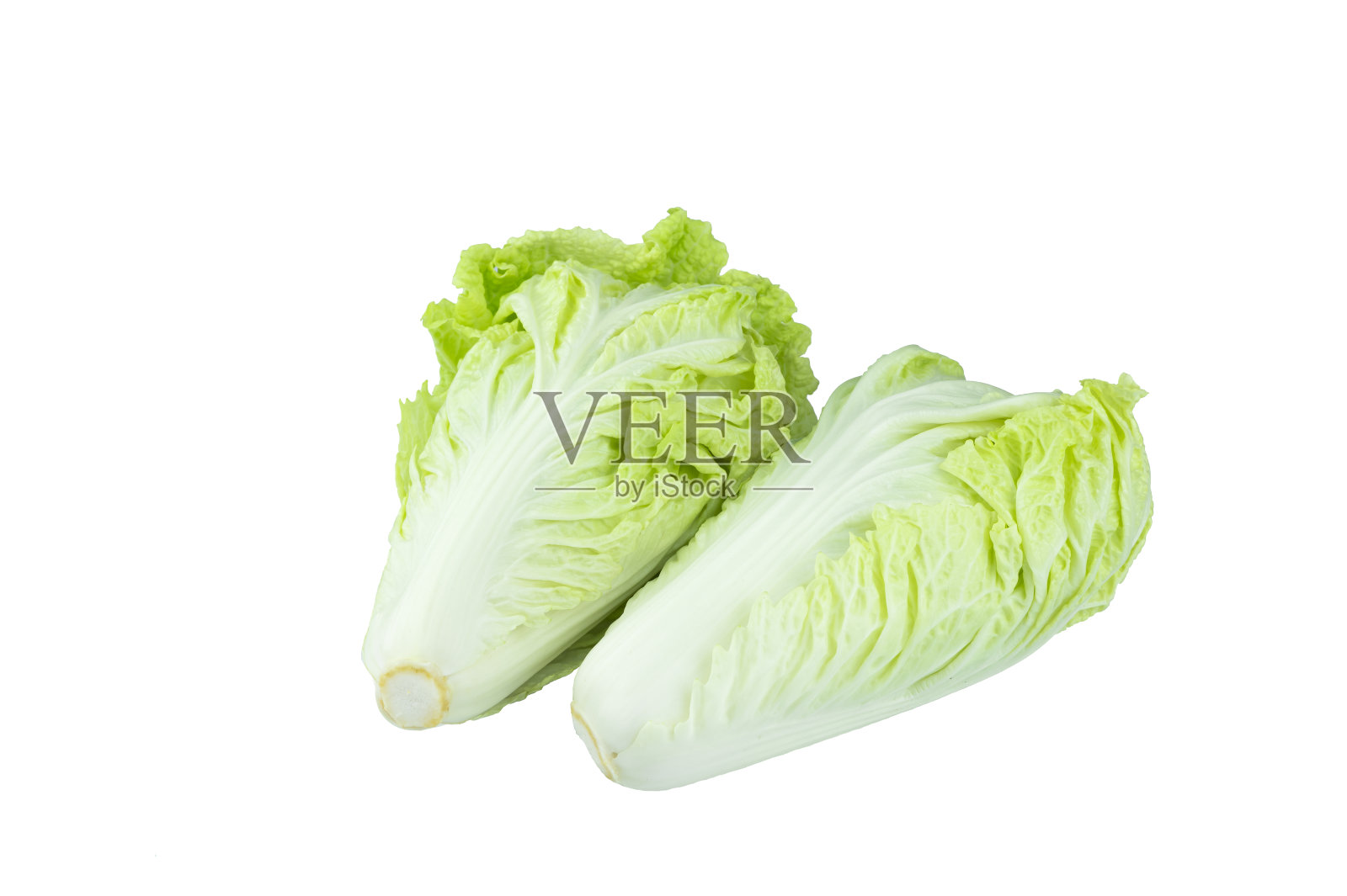 新鲜的有机大白菜在孤立的白色背景上照片摄影图片