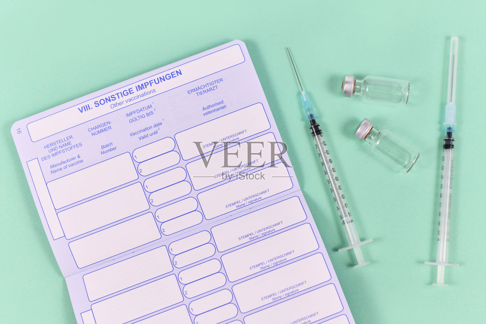 概念的宠物接种疫苗与空的欧洲接种狗护照照片摄影图片