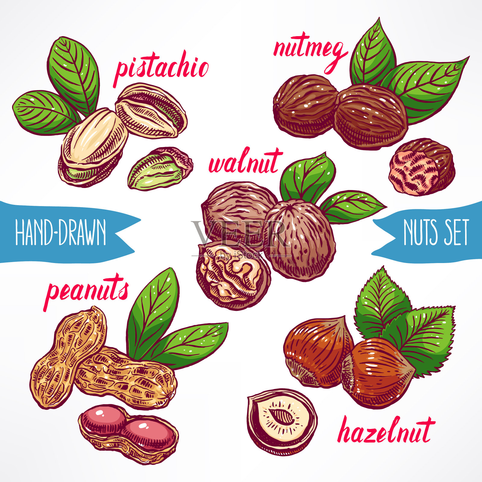 搭配五颜六色的坚果插画图片素材