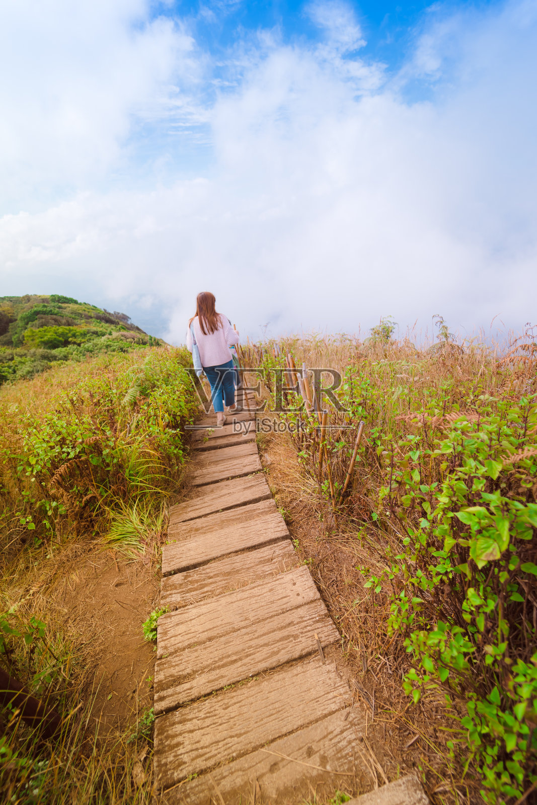 独自亚洲女性旅行者徒步旅行和拥抱自然从山顶在春天的季节照片摄影图片