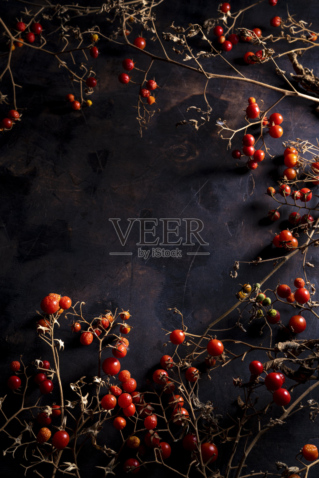 樱桃番茄在初秋季节末晾干照片摄影图片