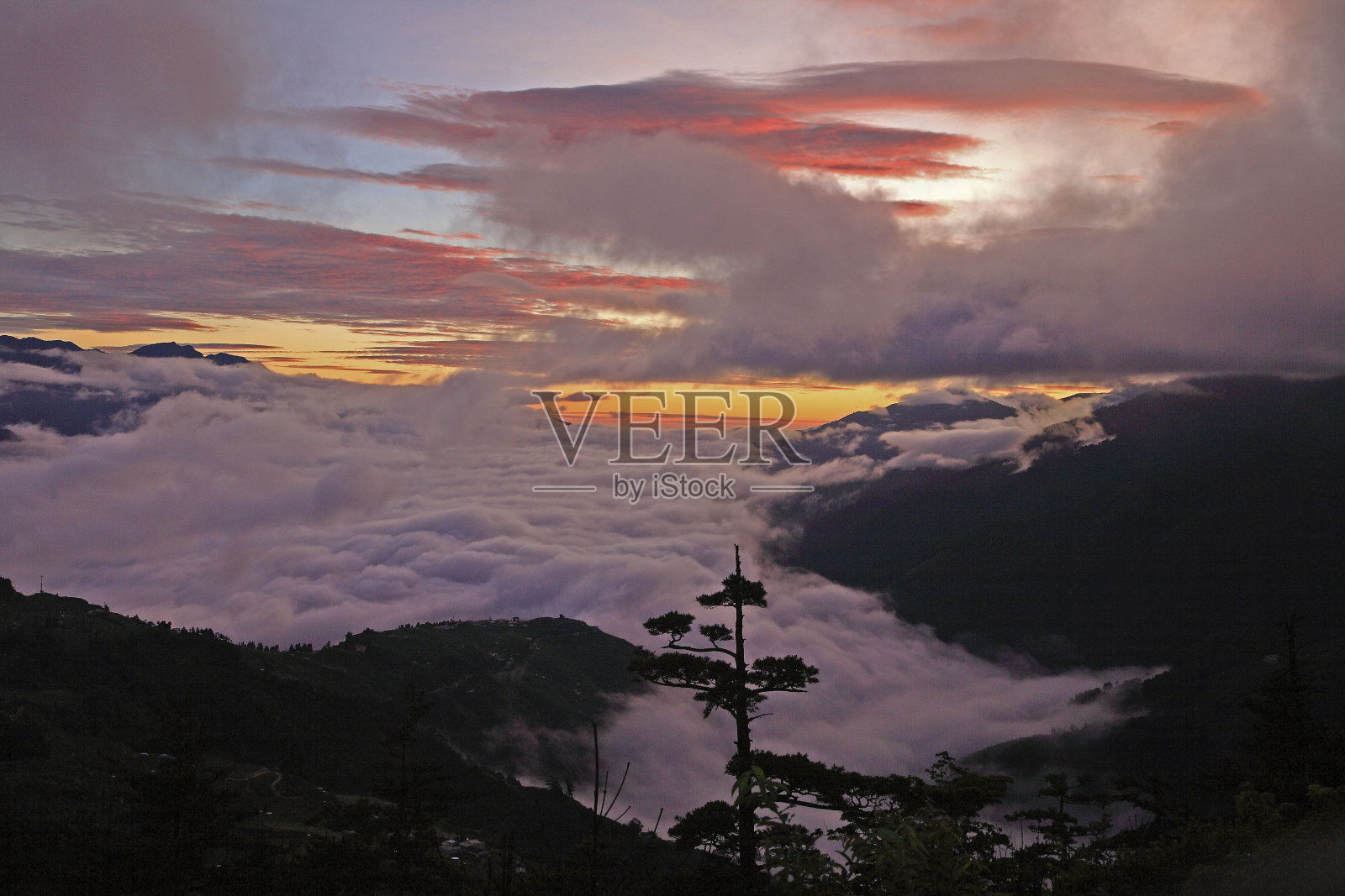 伏寿山农场晨光海??台湾云照片摄影图片