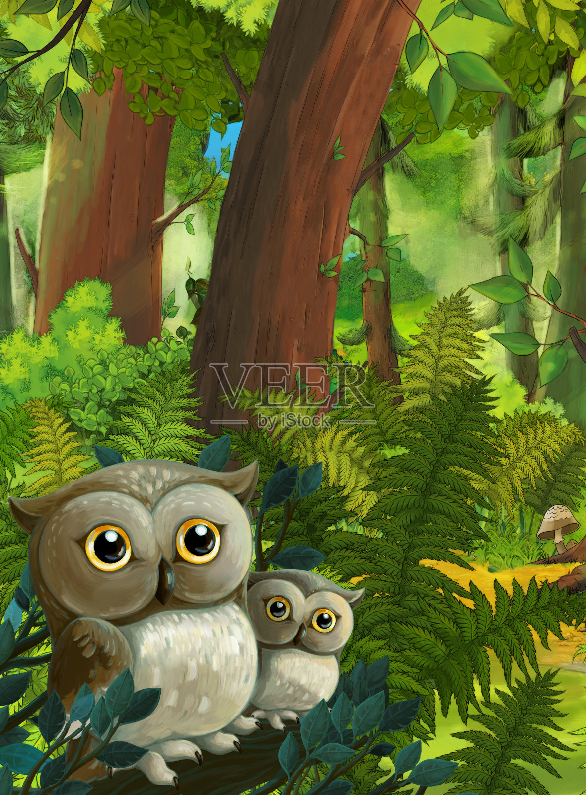 卡通夏季场景与深森林与猫头鹰家庭-插图插画图片素材