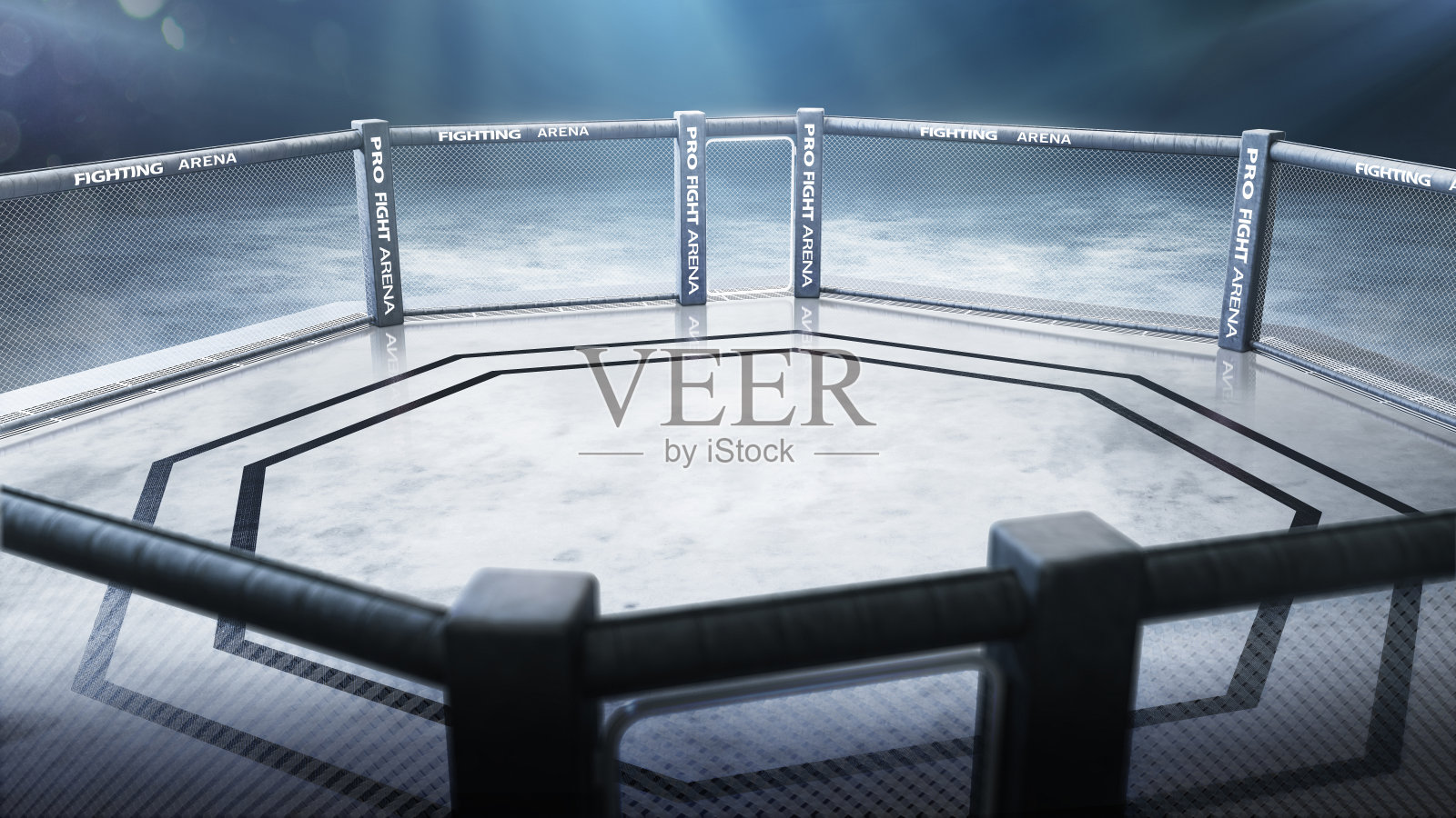 八角3 d。战斗八角俯视图。箴竞技场战斗。笼子里的夜晚。三维渲染照片摄影图片