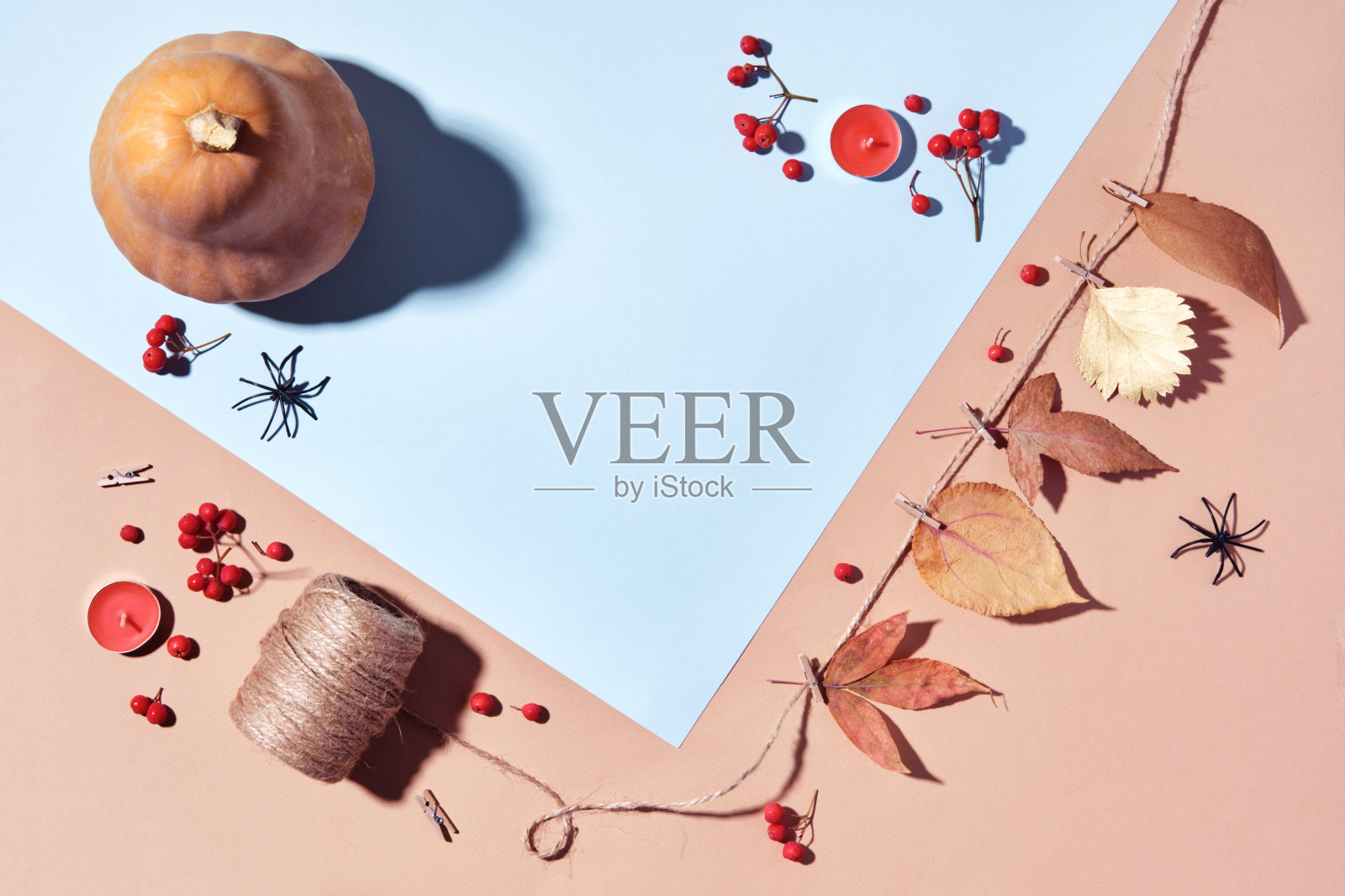 秋季布局的南瓜，diy花环和浆果在柔和的颜色，复制空间照片摄影图片