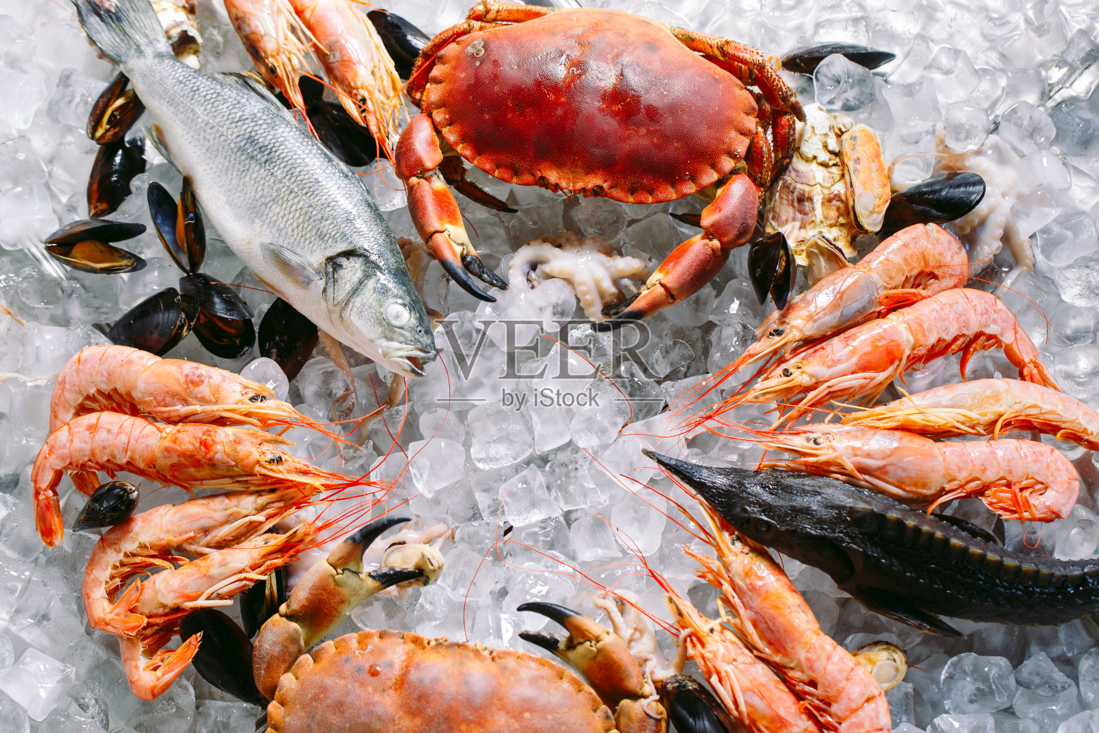海鲜在冰上。螃蟹，鲟鱼，贝类，虾，虾，鱼，剑鱼，白冰。照片摄影图片