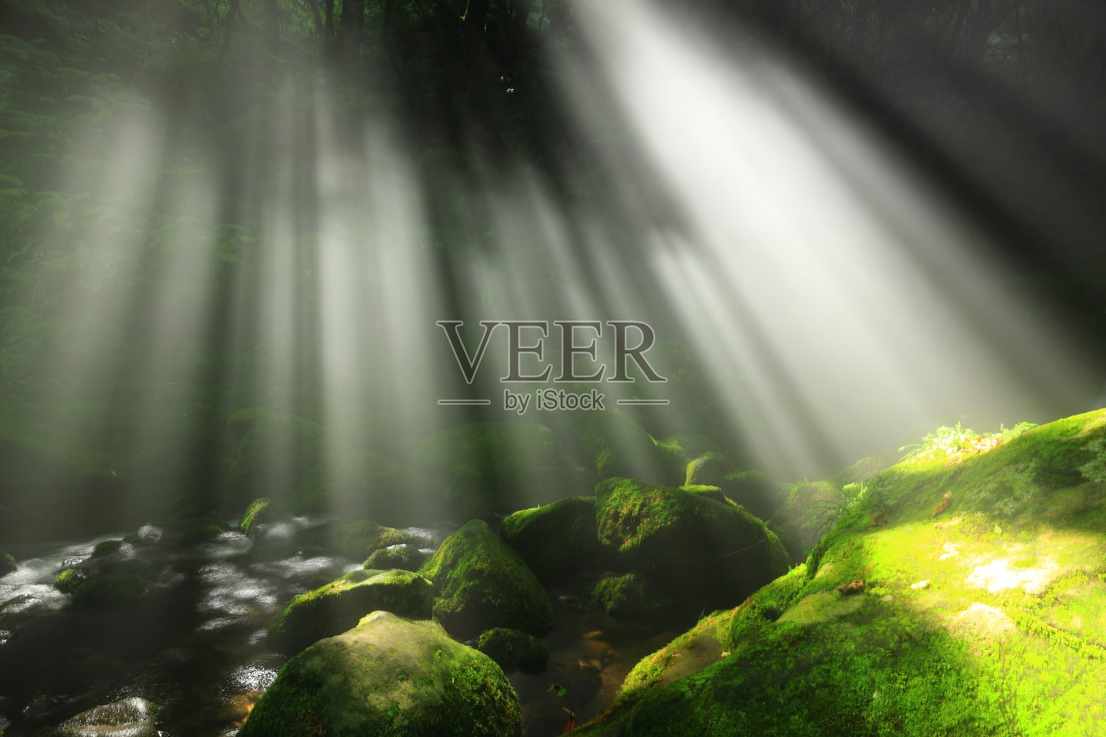 秋田县夏季山溪照片摄影图片