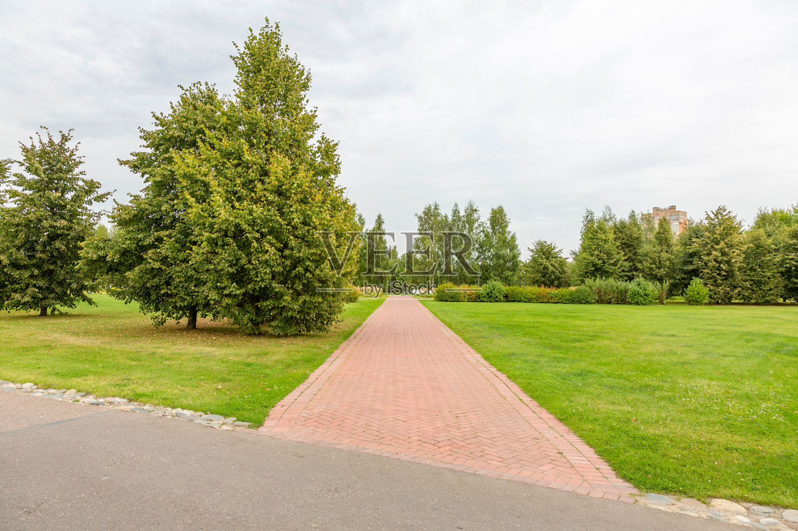 夏日公园里的步道照片摄影图片