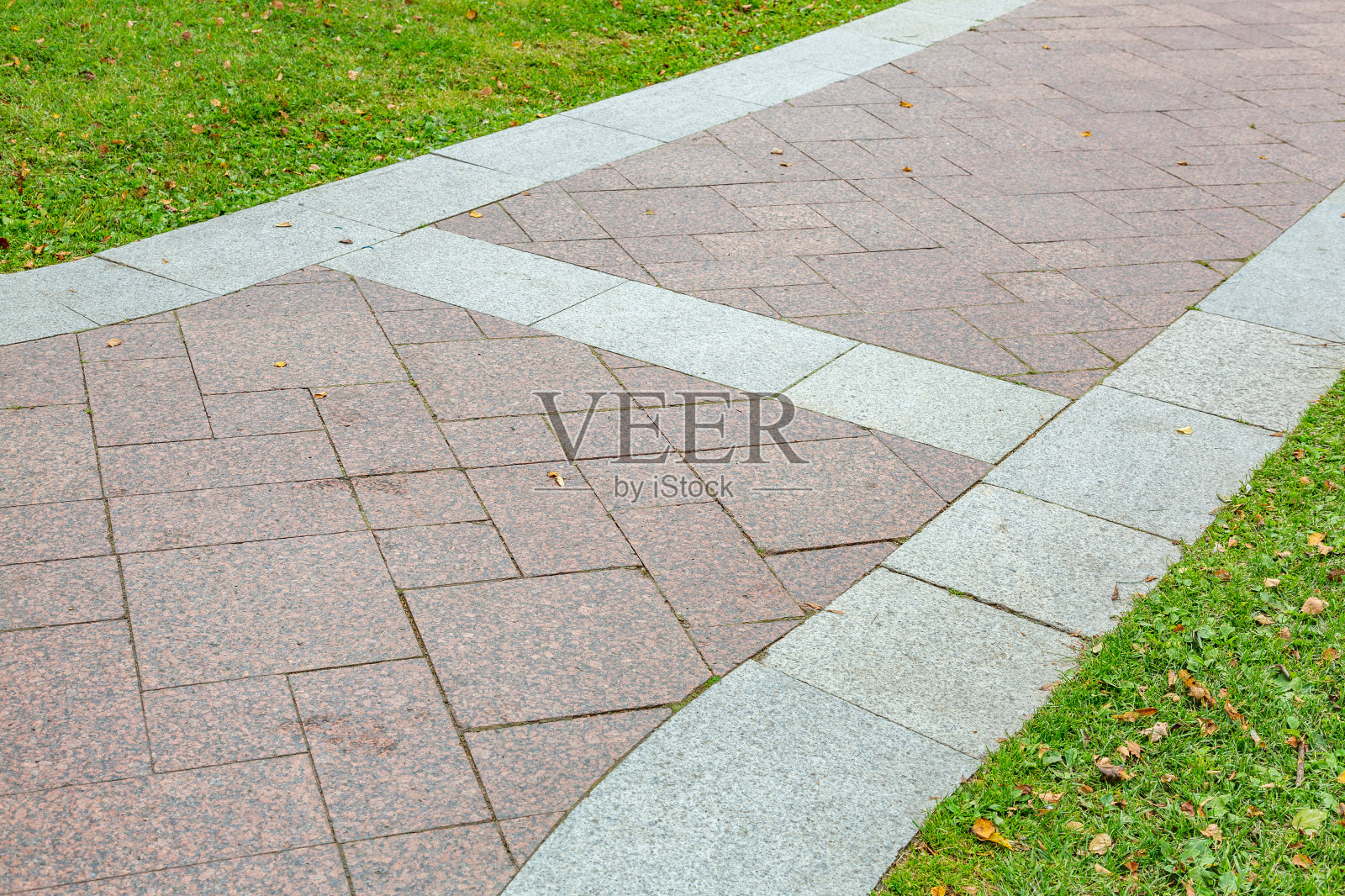 夏日公园里的步道照片摄影图片