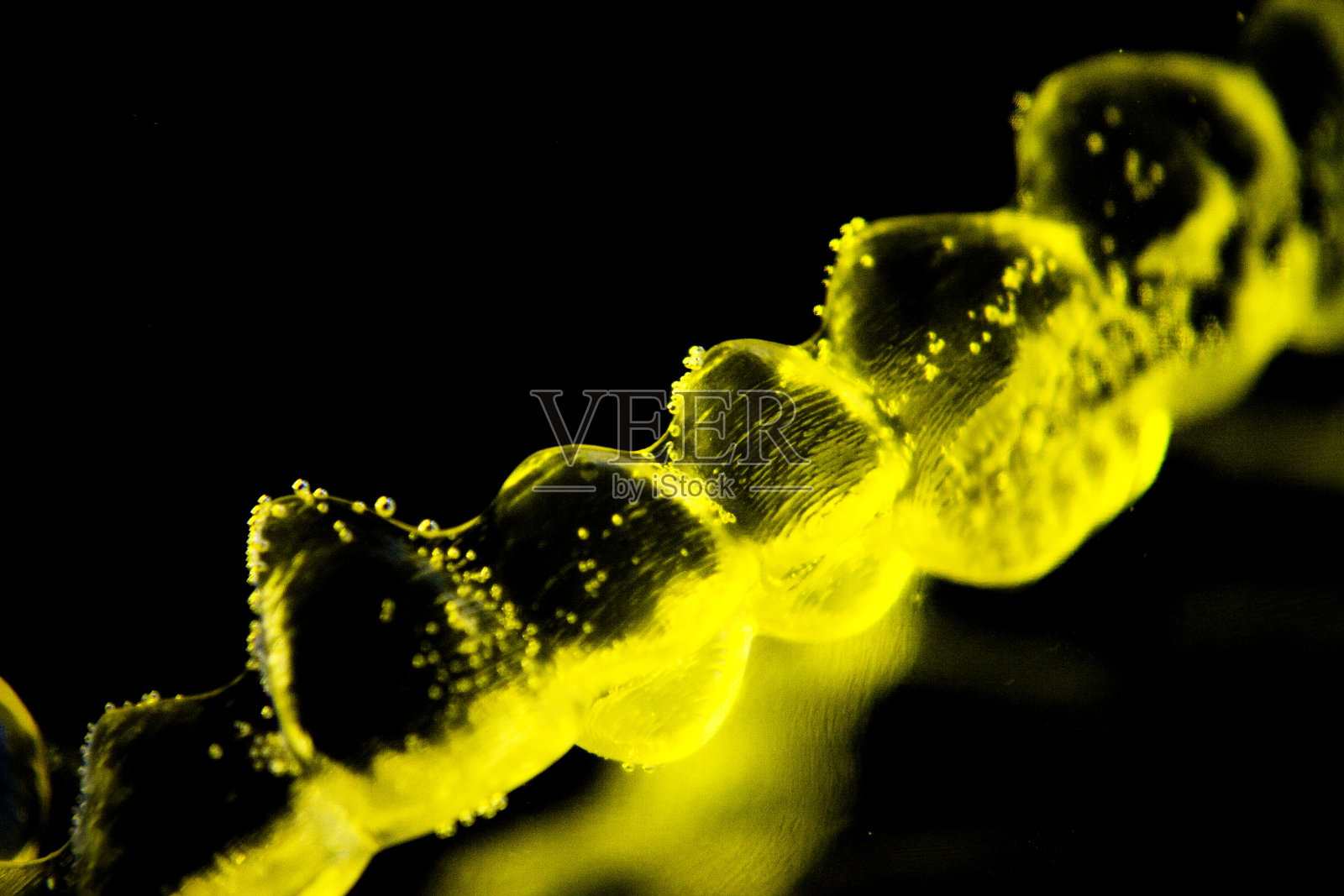 隐形牙齿矫正器浸于水中清洗照片摄影图片