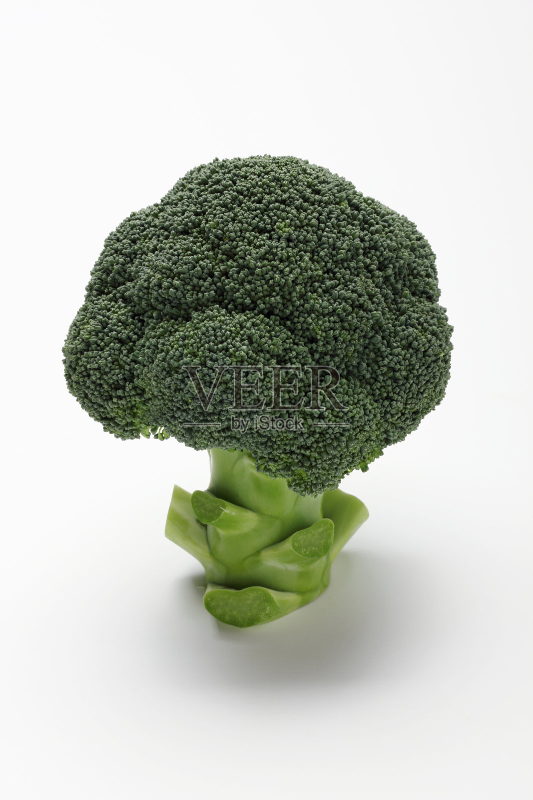 白色背景上的西兰花照片摄影图片