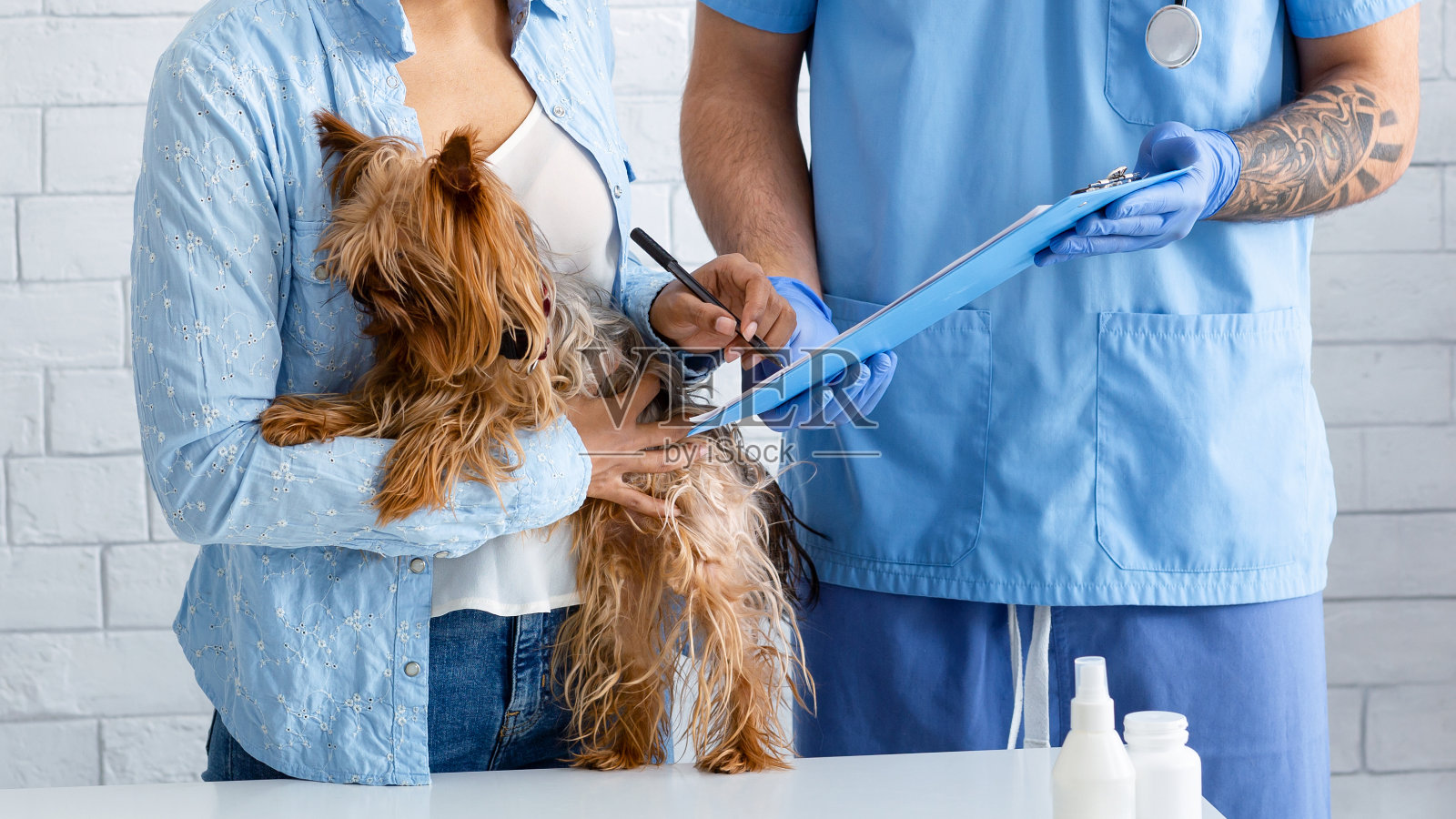 特写的客户与可爱的狗签署宠物保险政策在兽医诊所照片摄影图片