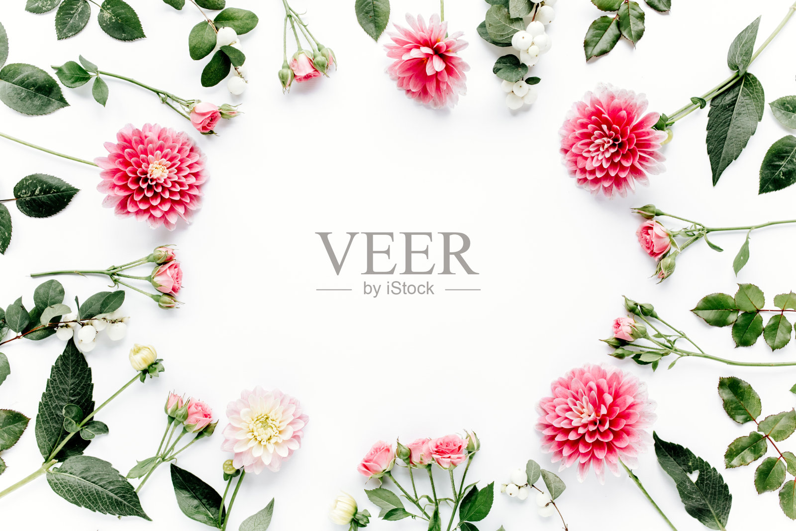 圆形框架，粉红色花蕾，枝和叶孤立在白色背景上。平放，俯视图照片摄影图片