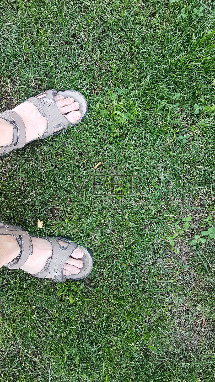 草地上一个穿凉鞋的人的脚照片摄影图片