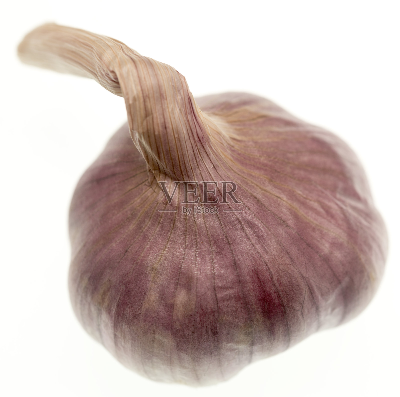 大蒜在白照片摄影图片