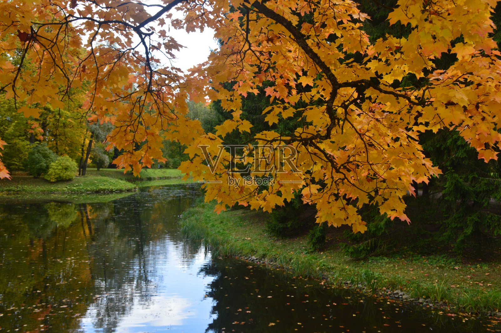 秋天公园里的湖照片摄影图片