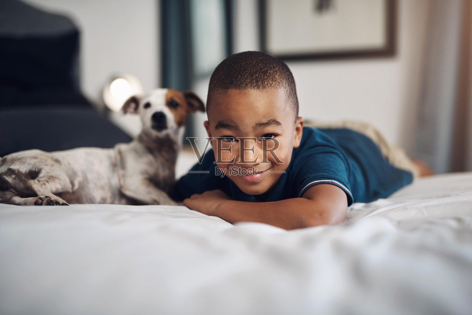 和我家的狗在一起照片摄影图片