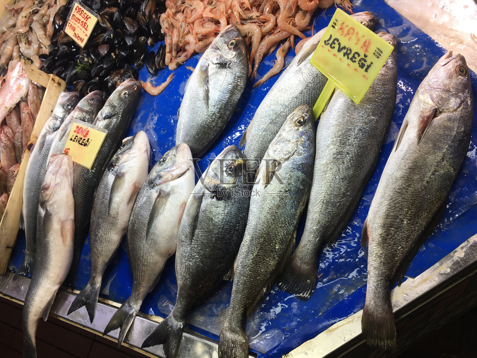 鱼市和各种各样的鱼照片摄影图片