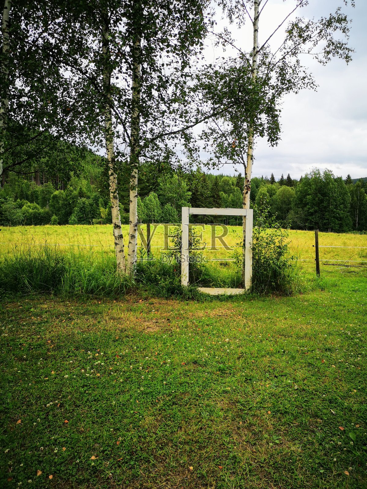 绿色风景的相框2照片摄影图片