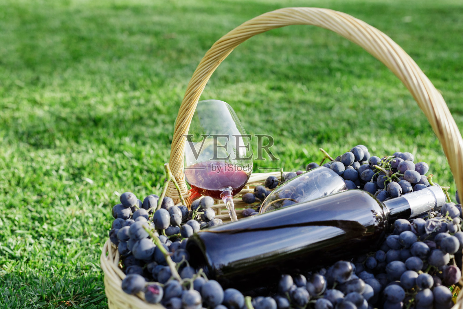 一瓶，两杯红酒和一篮子新鲜的葡萄收获在草坪上，外面的绿草。自制葡萄酒的概念。在葡萄园里品酒。赤霞珠，梅洛，黑皮诺，桑娇维塞照片摄影图片