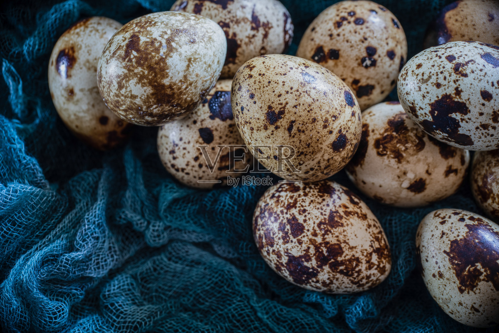 蓝纱布上的鹌鹑蛋照片摄影图片