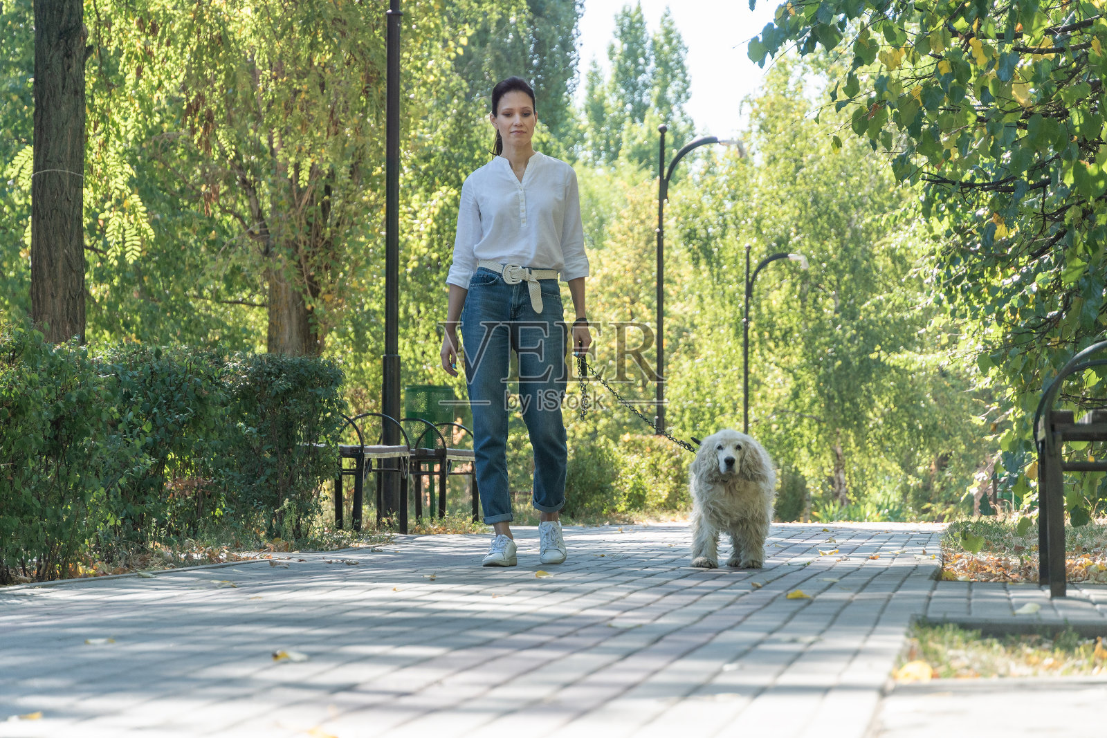 日在生活系列的家庭宠物，老狗和人的概念照片摄影图片