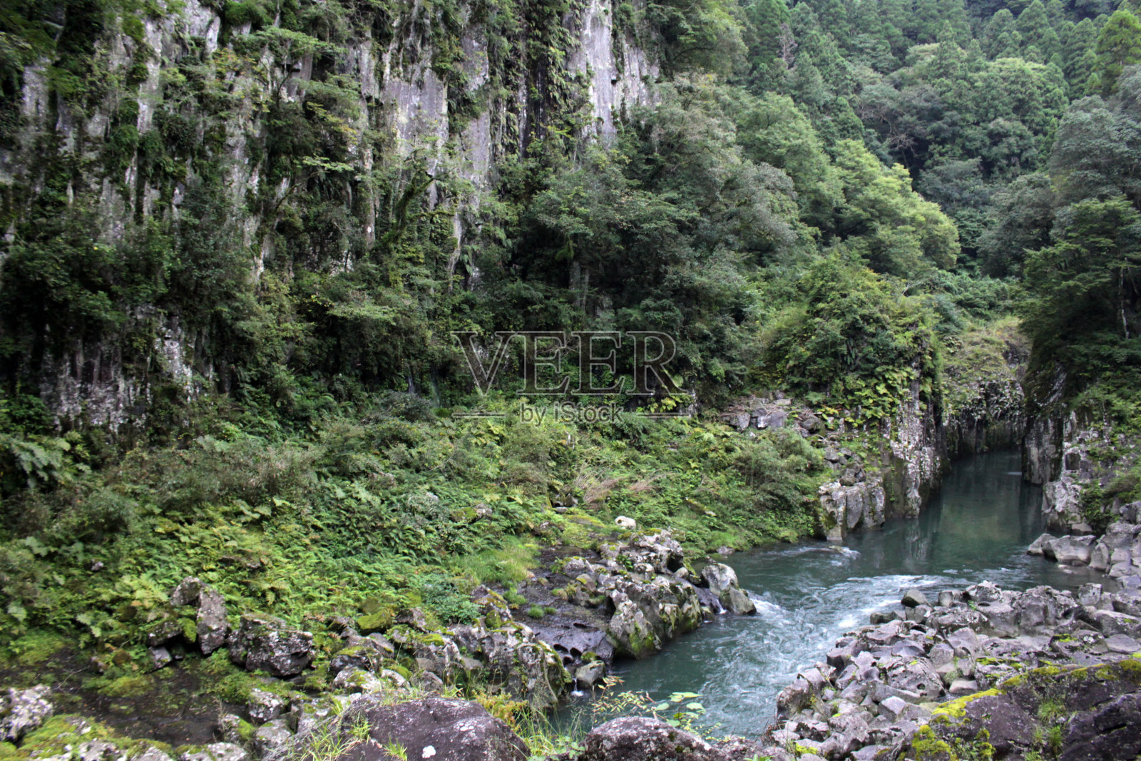 高知湖峡谷周围的绿松石河照片摄影图片