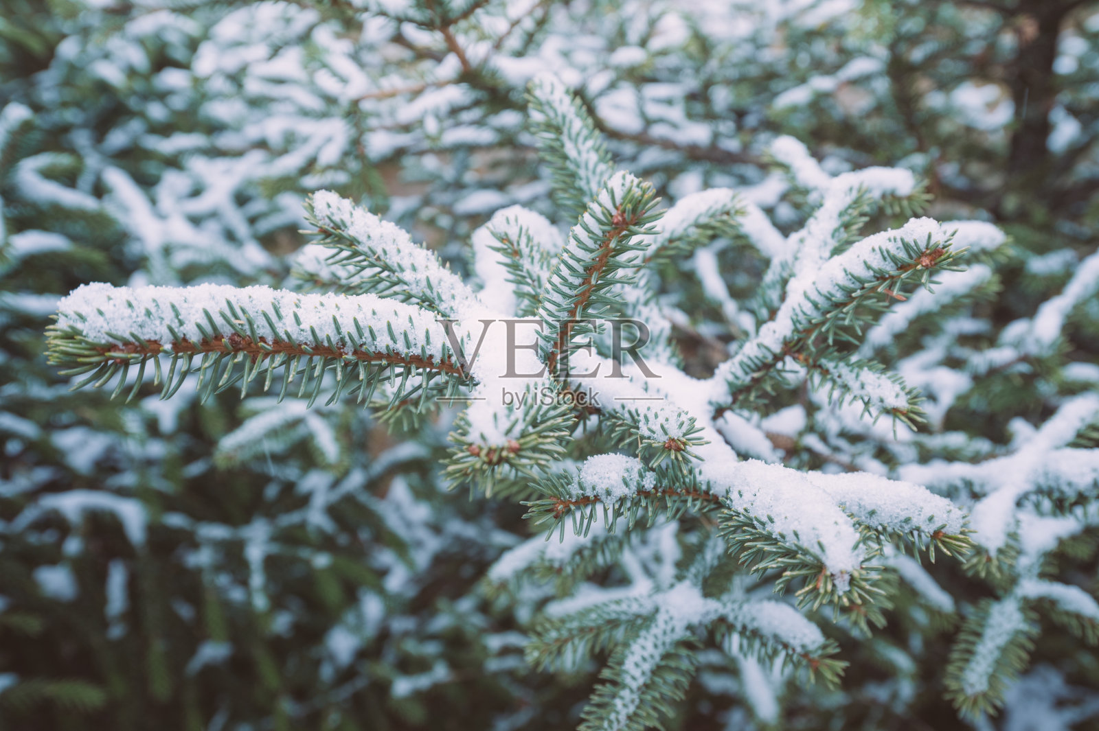 黄龙和九寨沟国家公园美丽的自然景观与令人惊叹的雪在中国四川照片摄影图片