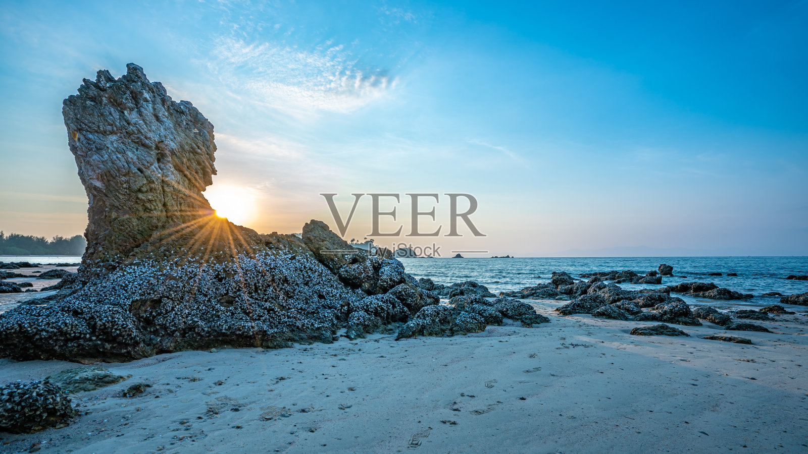 假期的照片照片摄影图片