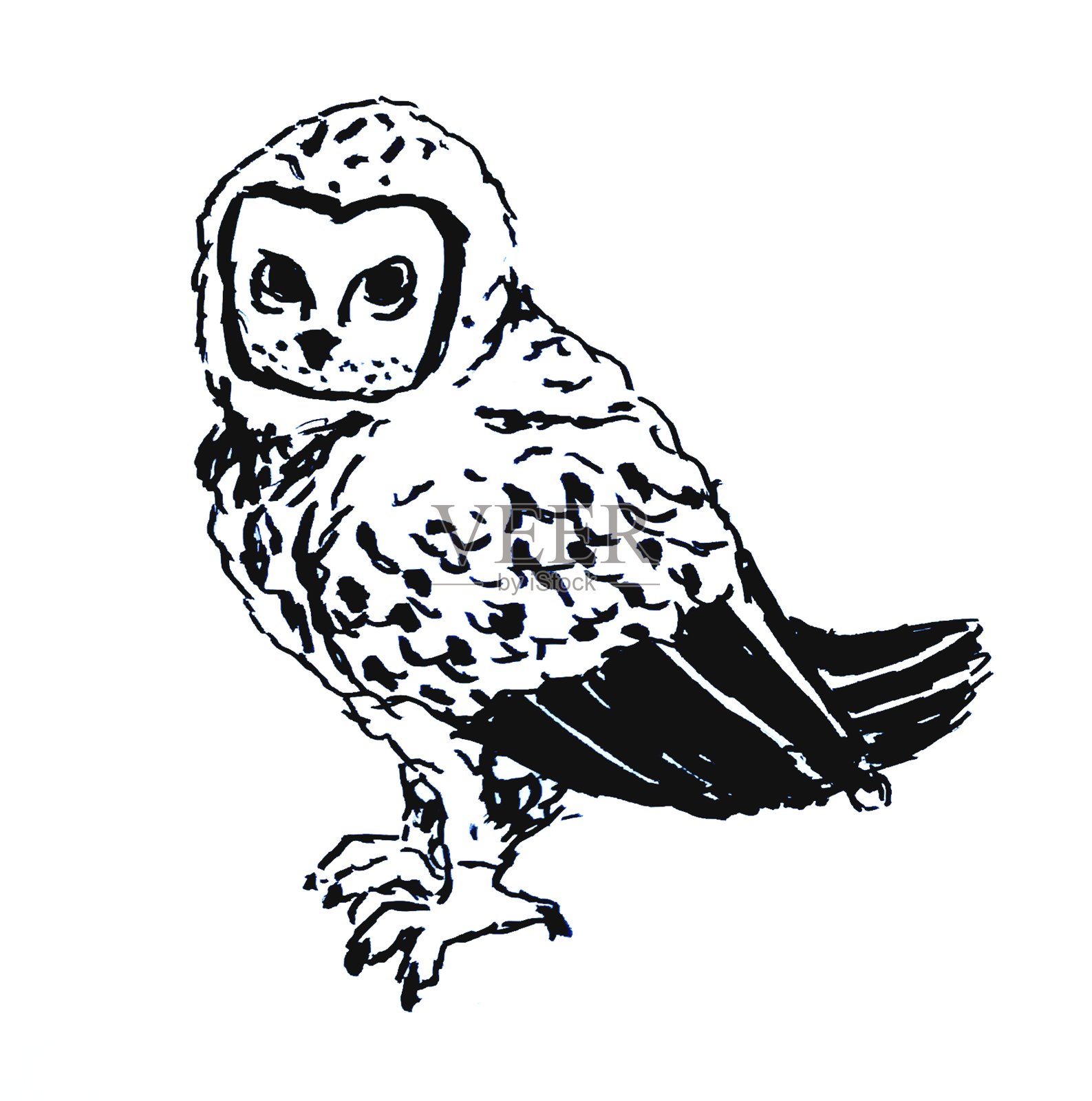 坐在猫头鹰。白色背景上的线性插图。设计元素图片