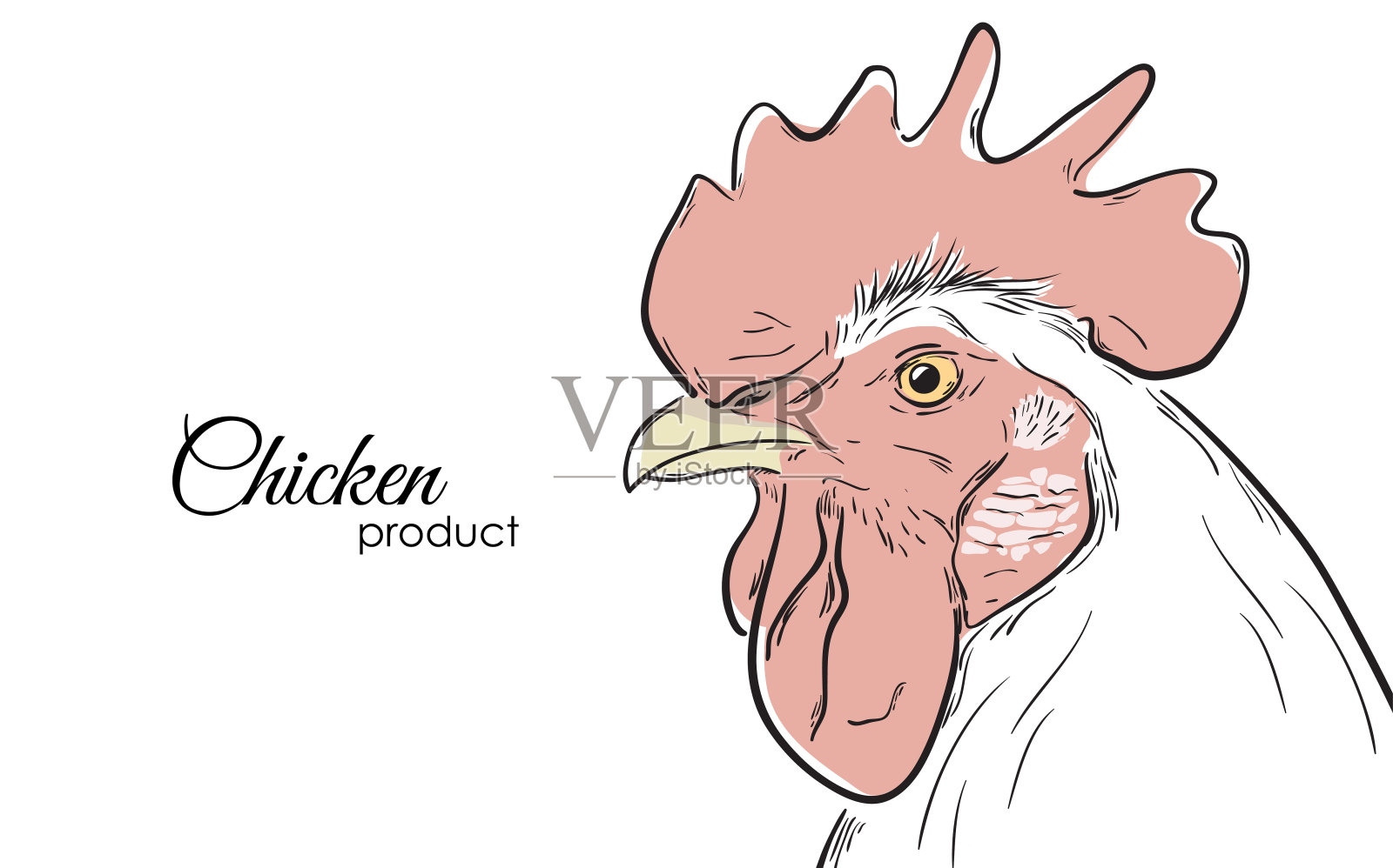 白色背景上孤立的白色公鸡的手绘轮廓。行设计。插画图片素材