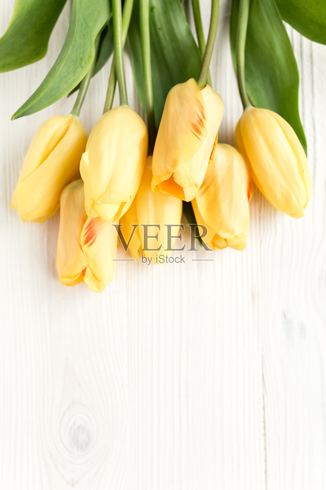 黄色郁金香孤立在白色木质背景上。平放，俯视图照片摄影图片